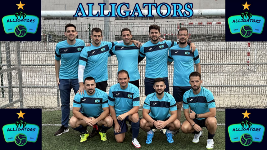 EQUIPO GOLEADOR. ZONA SUR DIARIO 2ª DIVISIÓN